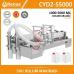 cost of CYD-S2-5000 Semi Automatic 2 Nozzle Liquid Filling Machine - 1000-5000ml in turkey